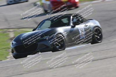 media/Jan-10-2026-Turn8 Trackdays (Sat) [[448b66da83]]/Purple/Session 3 (Off Ramp)/